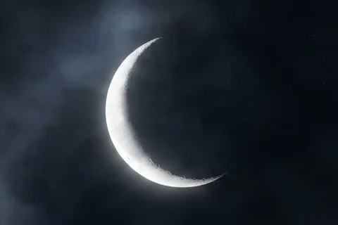 /img/festival/fest_moonf.webp
